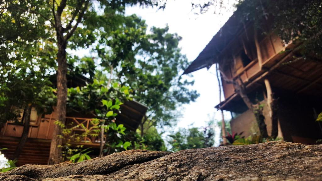 Sigiriya River Side Villa Exteriör bild